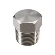 Legura 800 Incoloy 800 Kovani utikač s navojem navoja