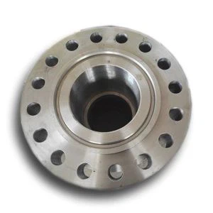 ss316L FLANGE