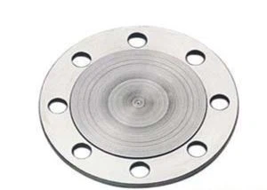 Hastelloy C276 Flange Blind Flange